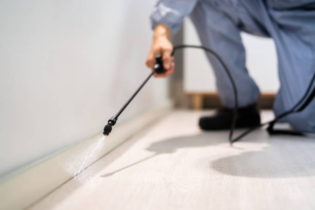 Licensed Termite Control service in Oxford, KS - Nex Pest Control