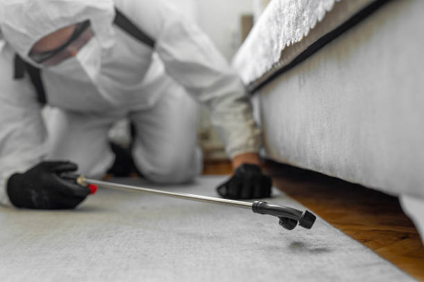 Professional Termite Control technician working in Oxford, KS