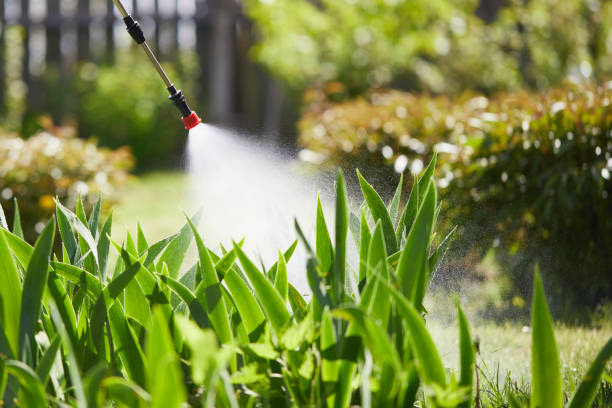 24/7 Emergency Termite Control experts in Oxford, KS