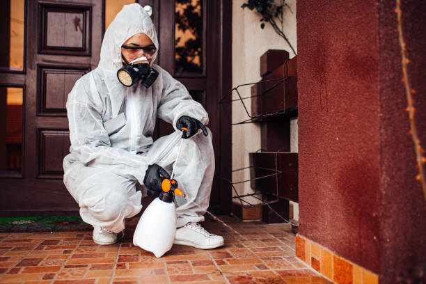 Reliable Termite Control contractor in Oxford, KS by Nex Pest Control