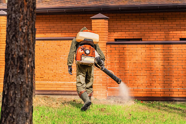 Trusted Termite Control service in Oxford, KS - Nex Pest Control
